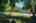 Blurred preview of media: 41