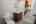 Blurred preview of media: PAX_0790