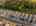 Blurred preview of media: h_miltonfinals-50