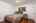 Blurred preview of media: 1-23