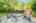 Blurred preview of media: 7 Wallis Ave, Smithville _ Nathan Ferro72
