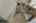 Blurred preview of media: DSC06651