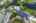Blurred preview of media: iPixx_11_3
