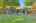 Blurred preview of media: 260190-29a
