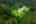 Blurred preview of media: DJI_0926 copy 3