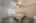 Blurred preview of media: Image-41