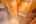Blurred preview of media: TEL00791-HDR