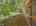 Blurred preview of media: 76-shades-of-death-road-great-meadows-n-j-house-016