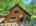 Blurred preview of media: DJI_20260608135958_0542_D_3_D_4_D_easyHDR