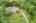 Blurred preview of media: 592 Sugar Road Bolton Massachusetts Job 38874 0085