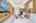 Blurred preview of media: DSC06424