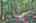 Blurred preview of media: IMG_4592_3_4_easyHDR