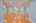 Blurred preview of media: IMG_0670_1_2