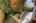 Blurred preview of media: 1-45