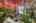 Blurred preview of media: 1-26