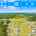 Blurred preview of media: 2-926-0602