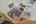 Blurred preview of media: 22-pond-hollow-drive-oak-ridge-nj-usa-house-038