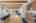 Blurred preview of media: 1-15