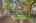Blurred preview of media: 1-62
