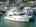 Blurred preview of media: IMG_4161