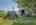 Blurred preview of media: IMG_1301