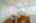 Blurred preview of media: 025-HDR