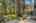 Blurred preview of media: 1-60