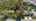 Blurred preview of media: aerial4