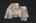 Blurred preview of media: iPixx_01_59
