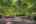 Blurred preview of media: 56-10565_SW_Cormorant_Dr