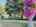 Blurred preview of media: IMG_7931