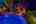 Blurred preview of media: 4Sept0052