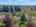 Blurred preview of media: 1-36