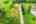 Blurred preview of media: DJI_0921 copy 2