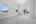 Blurred preview of media: DSC_8604