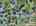Blurred preview of media: DJI_20260923120721_0788_D_89_D_90_D_easyHDR