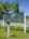 Blurred preview of media: DJI_0013