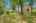 Blurred preview of media: bristow_107