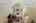 Blurred preview of media: 277 Main Street Bolton Massachusetts Job 38618 0080
