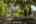 Blurred preview of media: 707 Whistler Dr_MLS (048 of 057)