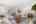 Blurred preview of media: 25