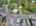 Blurred preview of media: DJI_20250908131339_0225_D_6_D_7_D_easyHDR
