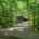 Blurred preview of media: image000001