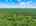 Blurred preview of media: 1-726-0877