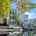 Blurred preview of media: 98 G Street unit 4 Boston Massachusetts Job 41315 0006