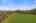 Blurred preview of media: DSC05473