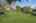Blurred preview of media: 250245-37a