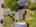 Blurred preview of media: DJI_20250902133551_0032_D