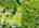 Blurred preview of media: 1-926-0061