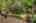 Blurred preview of media: 1-54